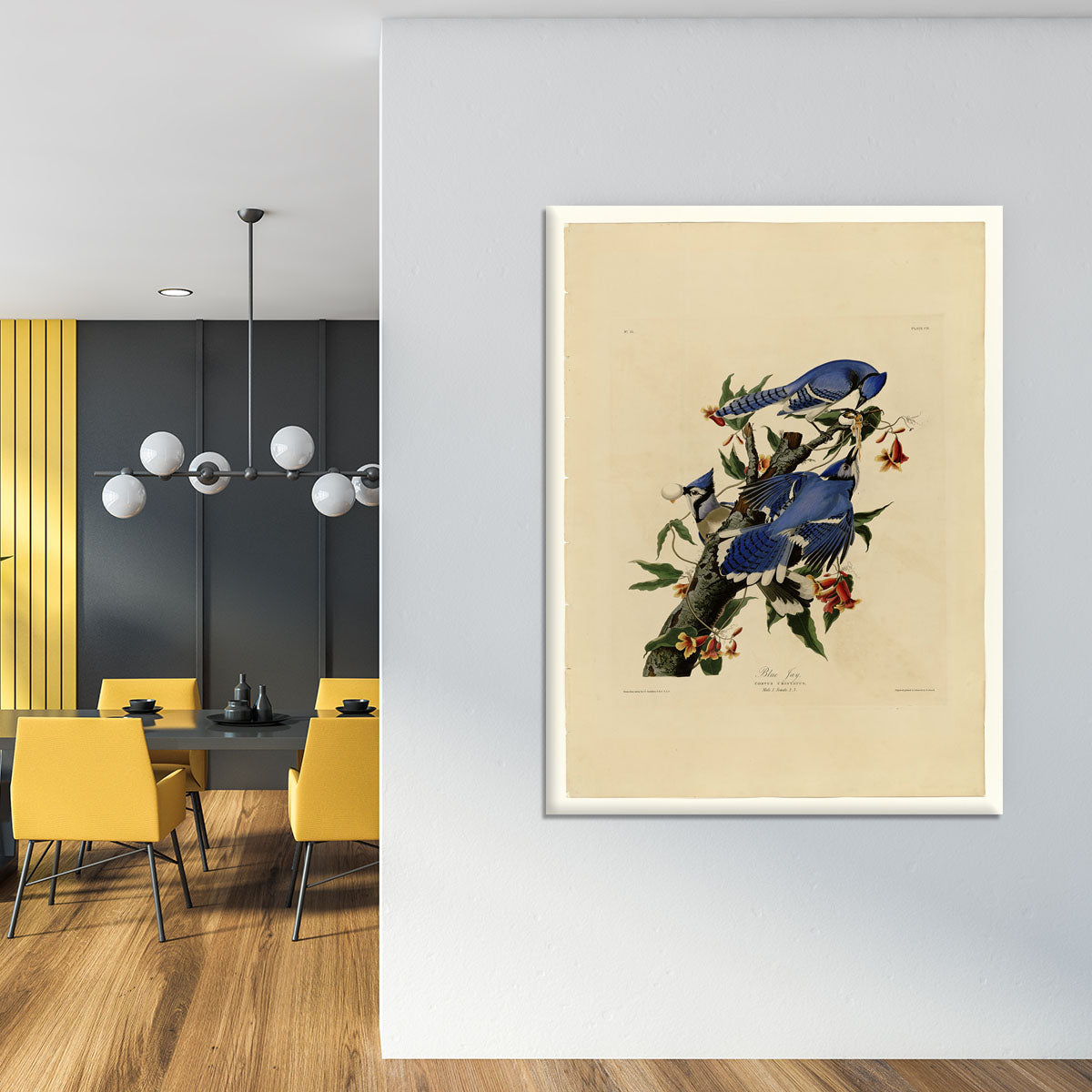 Blue Jay by Audubon Canvas Print or Poster - Canvas Art Rocks - 4