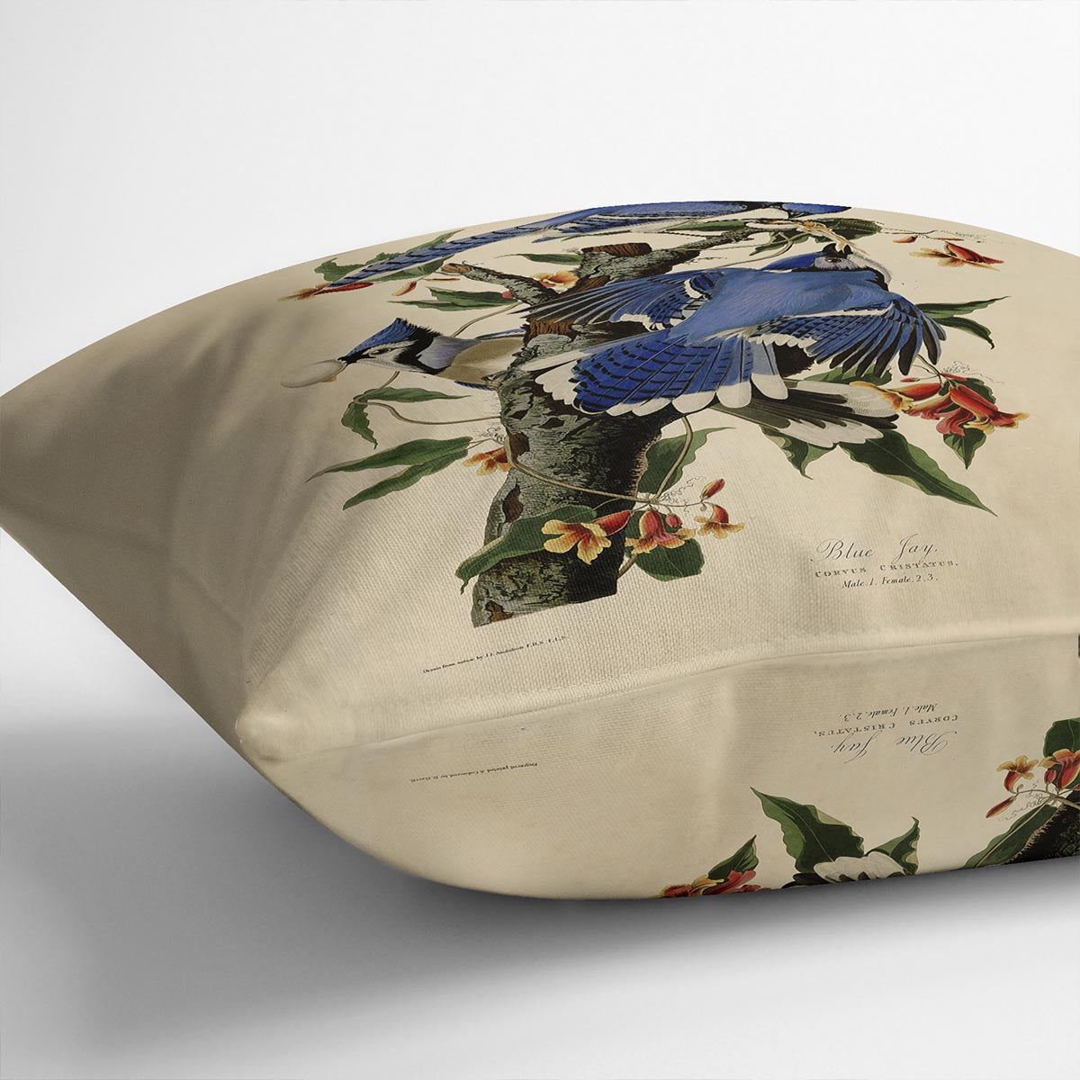 Blue Jay by Audubon Cushion