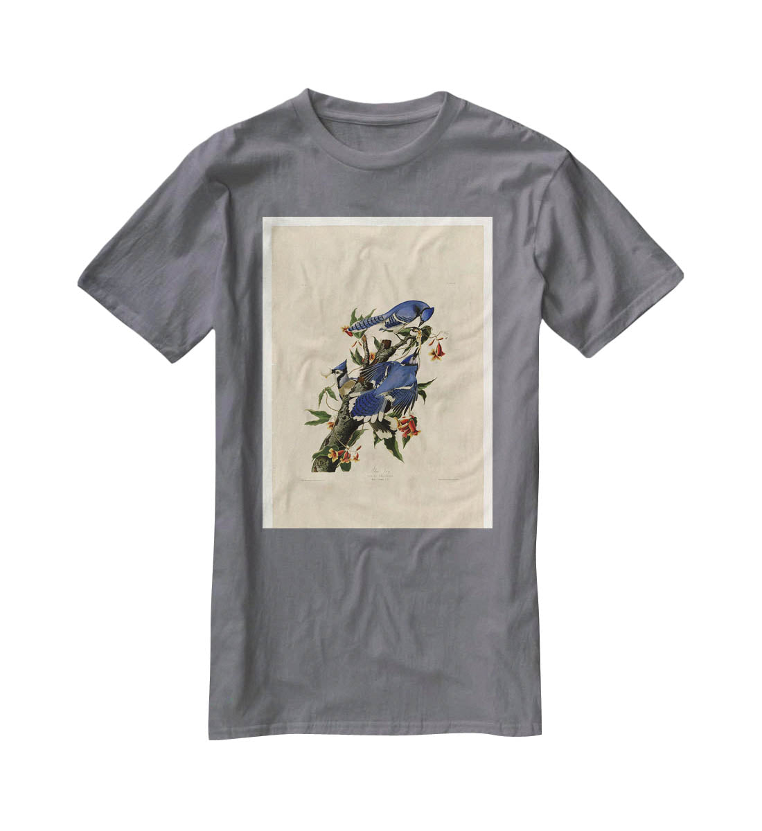 Blue Jay by Audubon T-Shirt - Canvas Art Rocks - 3