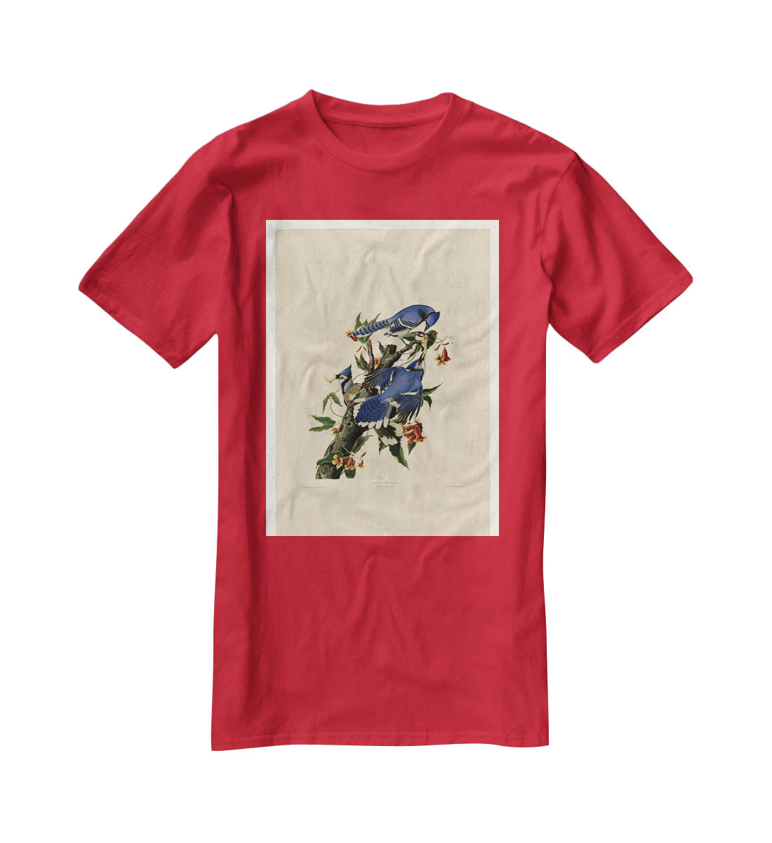 Blue Jay by Audubon T-Shirt - Canvas Art Rocks - 4
