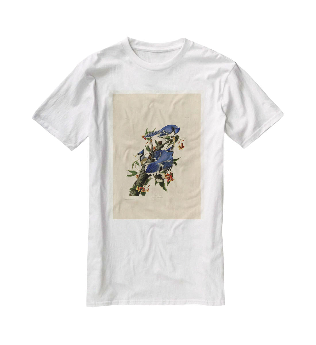 Blue Jay by Audubon T-Shirt - Canvas Art Rocks - 5