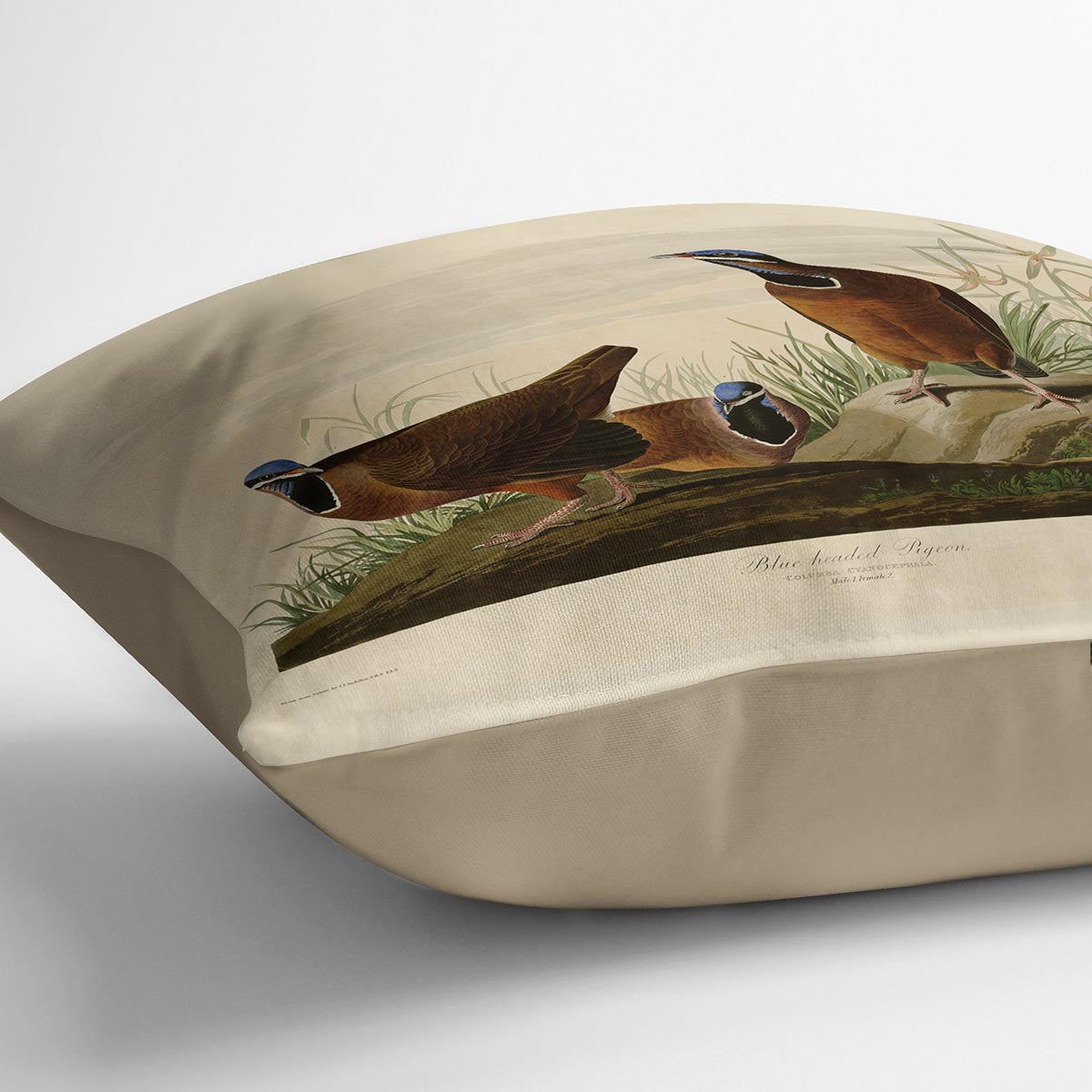 Blue headed Pigeon by Audubon Cushion