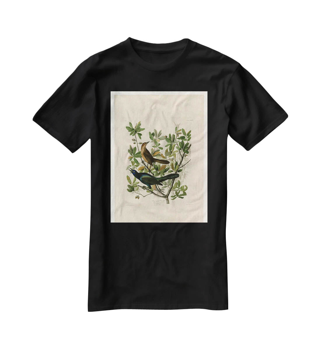 Boat tailed Grackle by Audubon T-Shirt - Canvas Art Rocks - 1