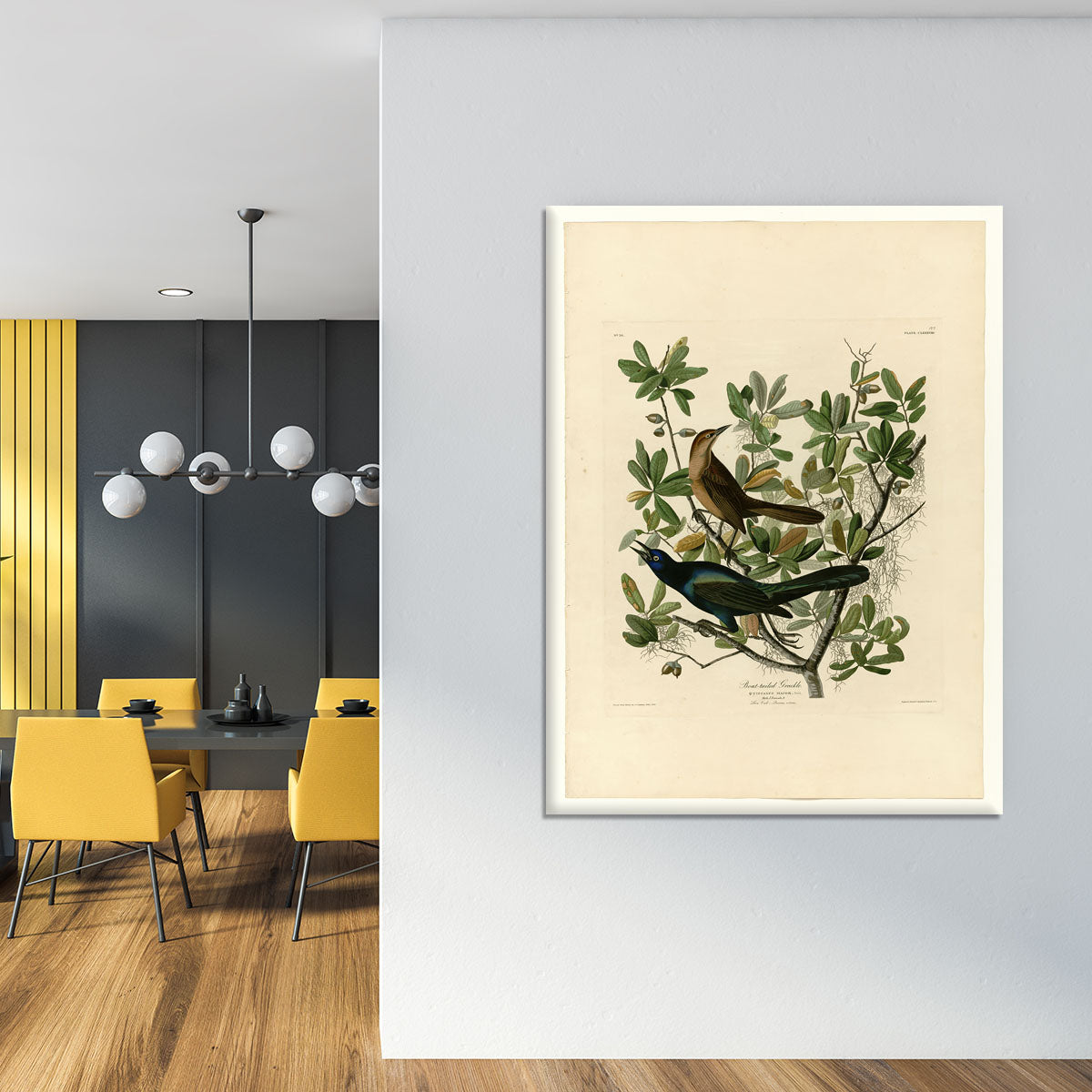 Boat tailed Grackle by Audubon Canvas Print or Poster - Canvas Art Rocks - 4