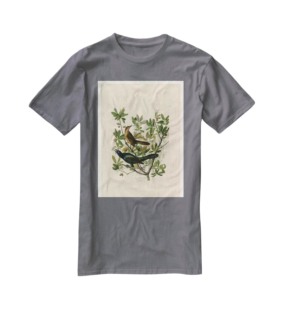 Boat tailed Grackle by Audubon T-Shirt - Canvas Art Rocks - 3