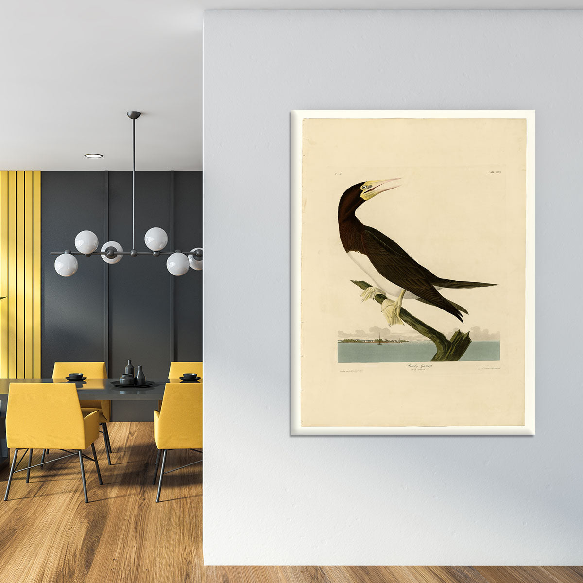 Booby Gannet by Audubon Canvas Print or Poster - Canvas Art Rocks - 4