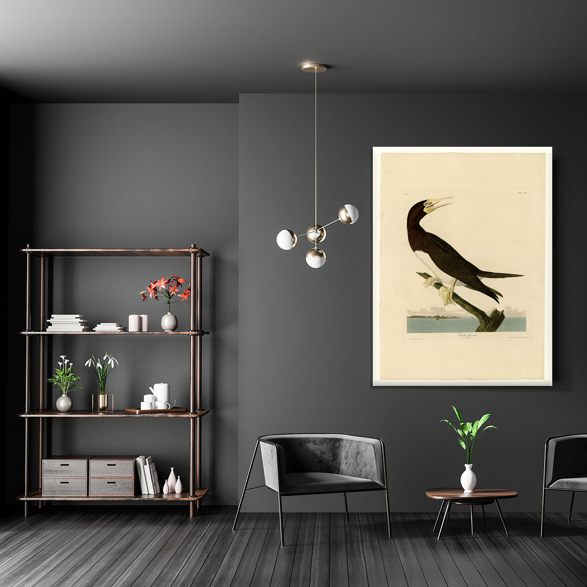 Booby Gannet by Audubon Canvas Print or Poster - Canvas Art Rocks - 5