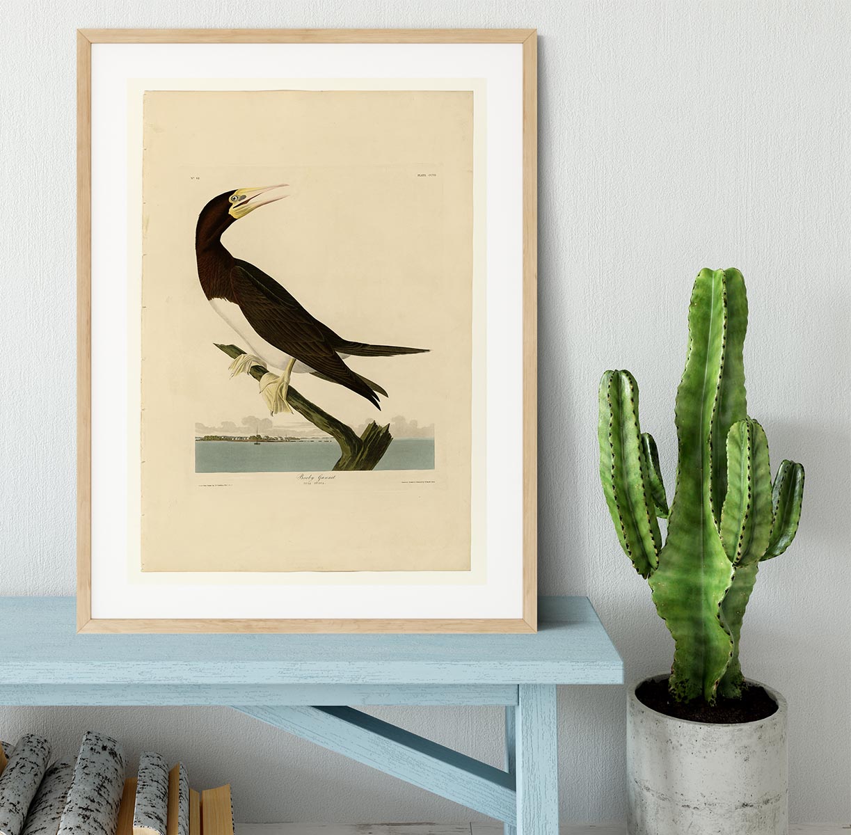 Booby Gannet by Audubon Framed Print - Canvas Art Rocks - 3