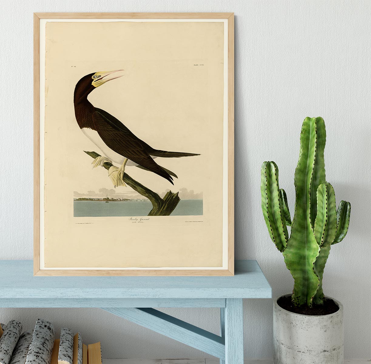 Booby Gannet by Audubon Framed Print - Canvas Art Rocks - 4