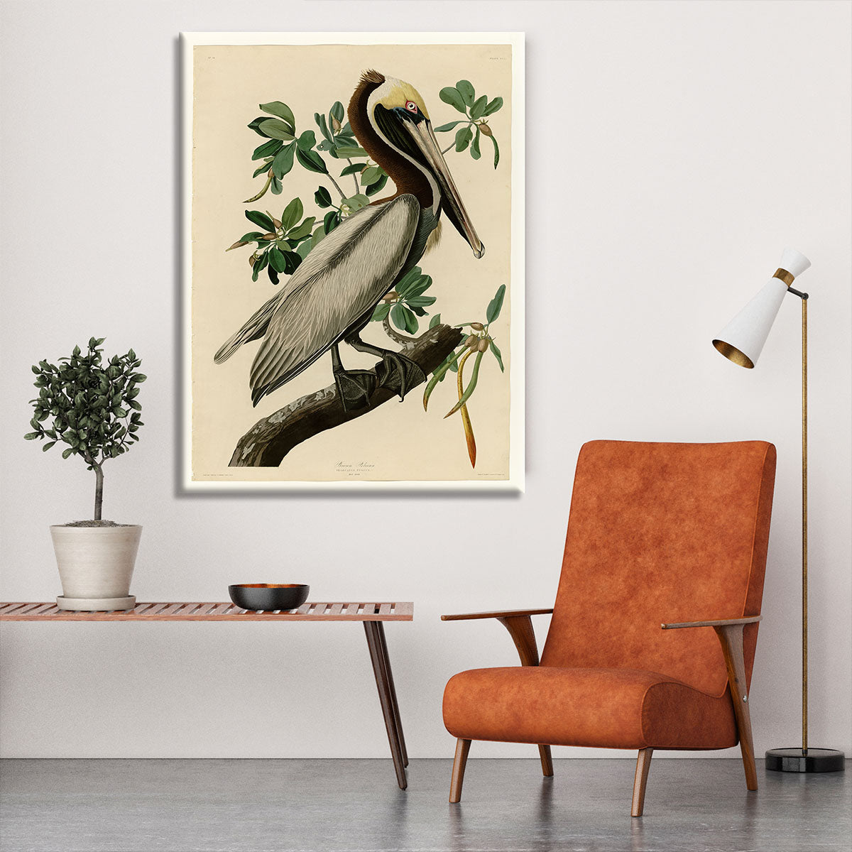 Brown Pelican 2 by Audubon Canvas Print or Poster - Canvas Art Rocks - 6