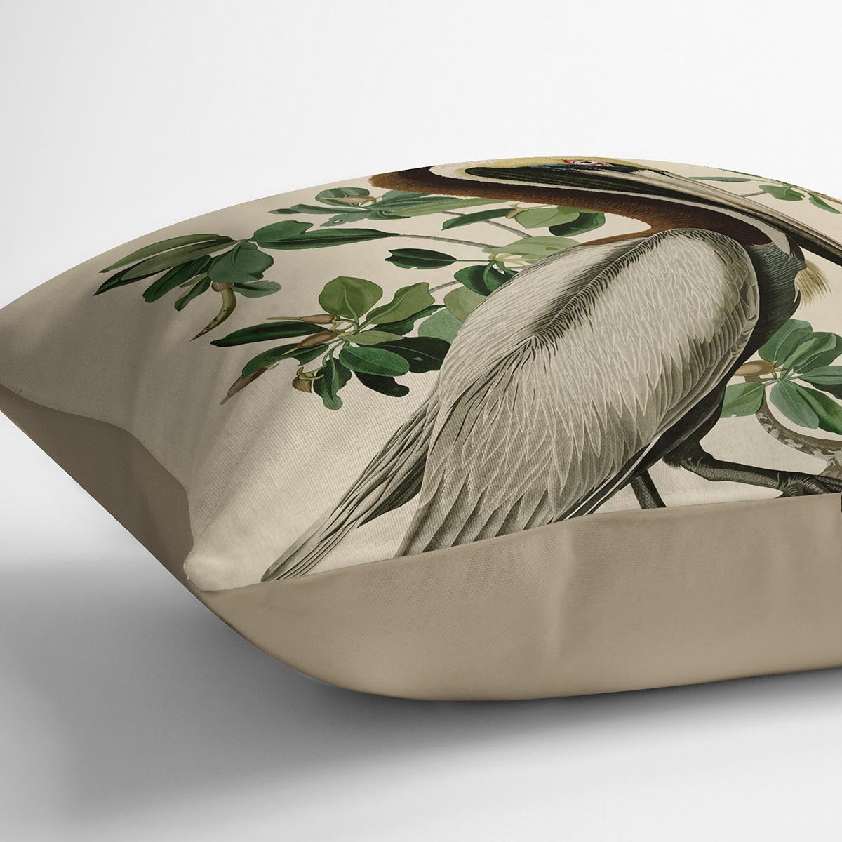 Brown Pelican 2 by Audubon Cushion