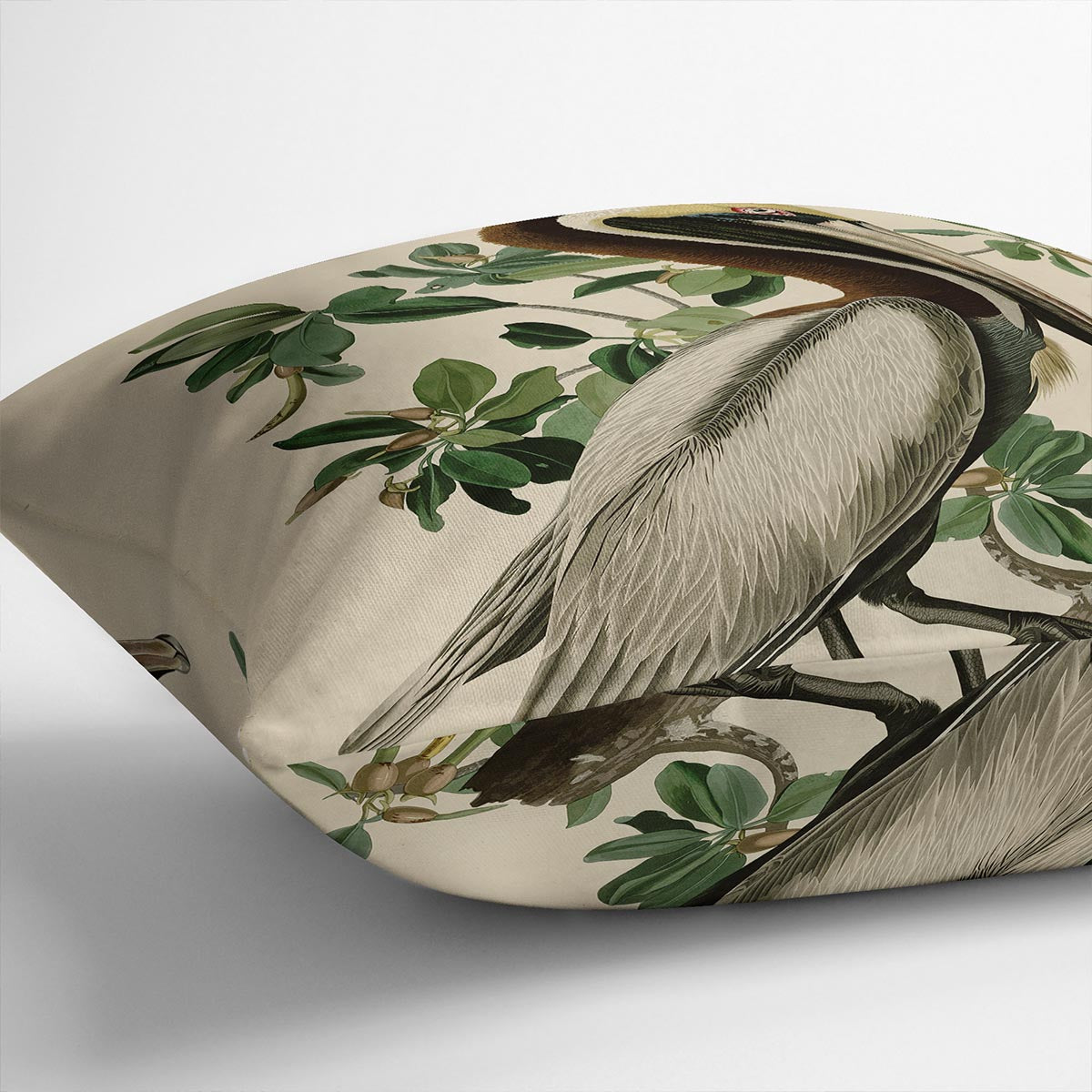 Brown Pelican 2 by Audubon Cushion