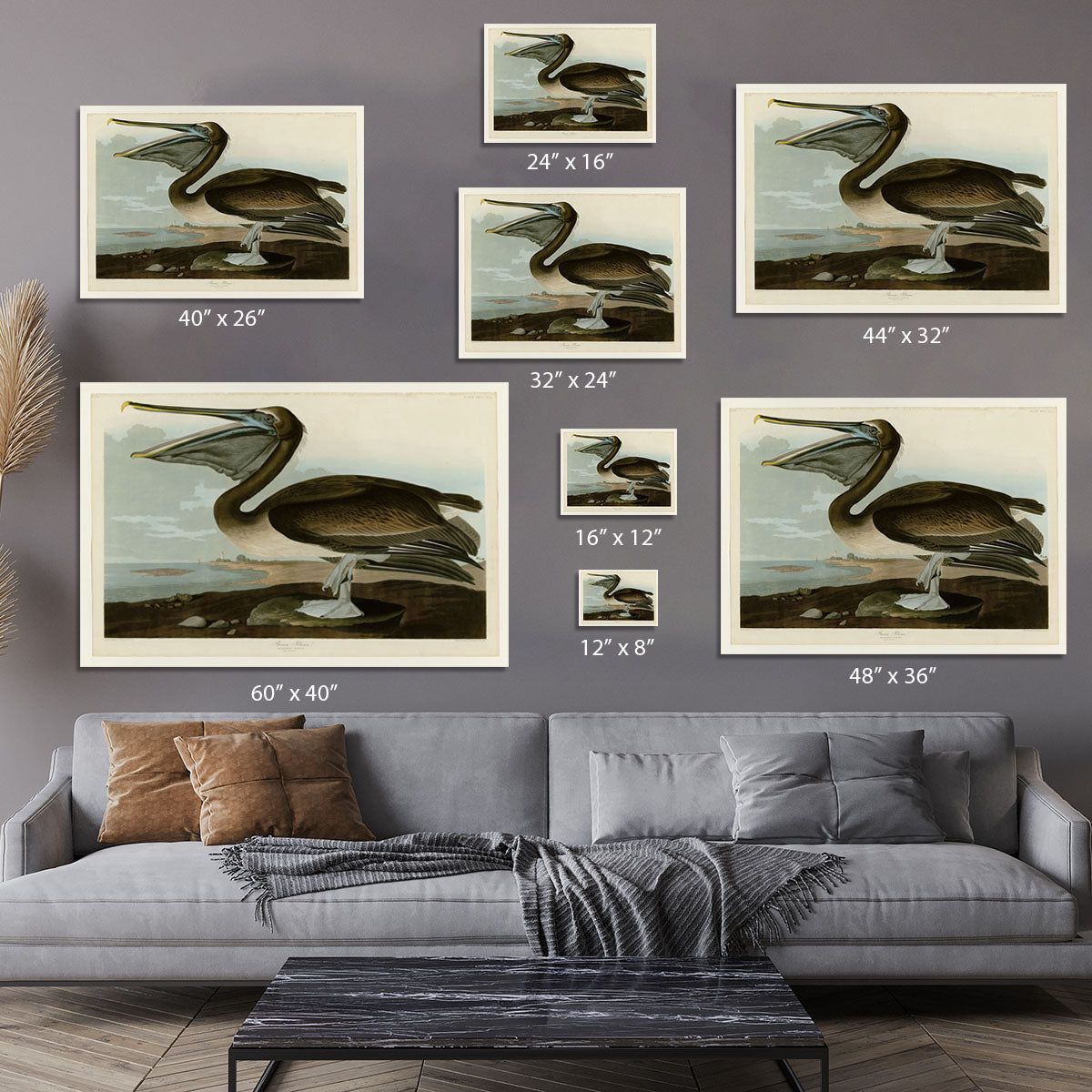 Brown Pelican by Audubon Canvas Print or Poster - Canvas Art Rocks - 7