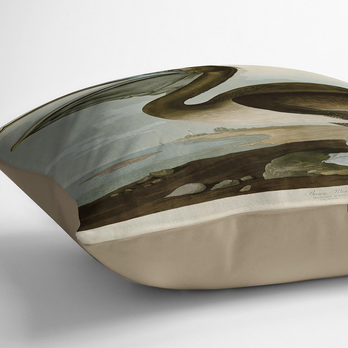 Brown Pelican by Audubon Cushion