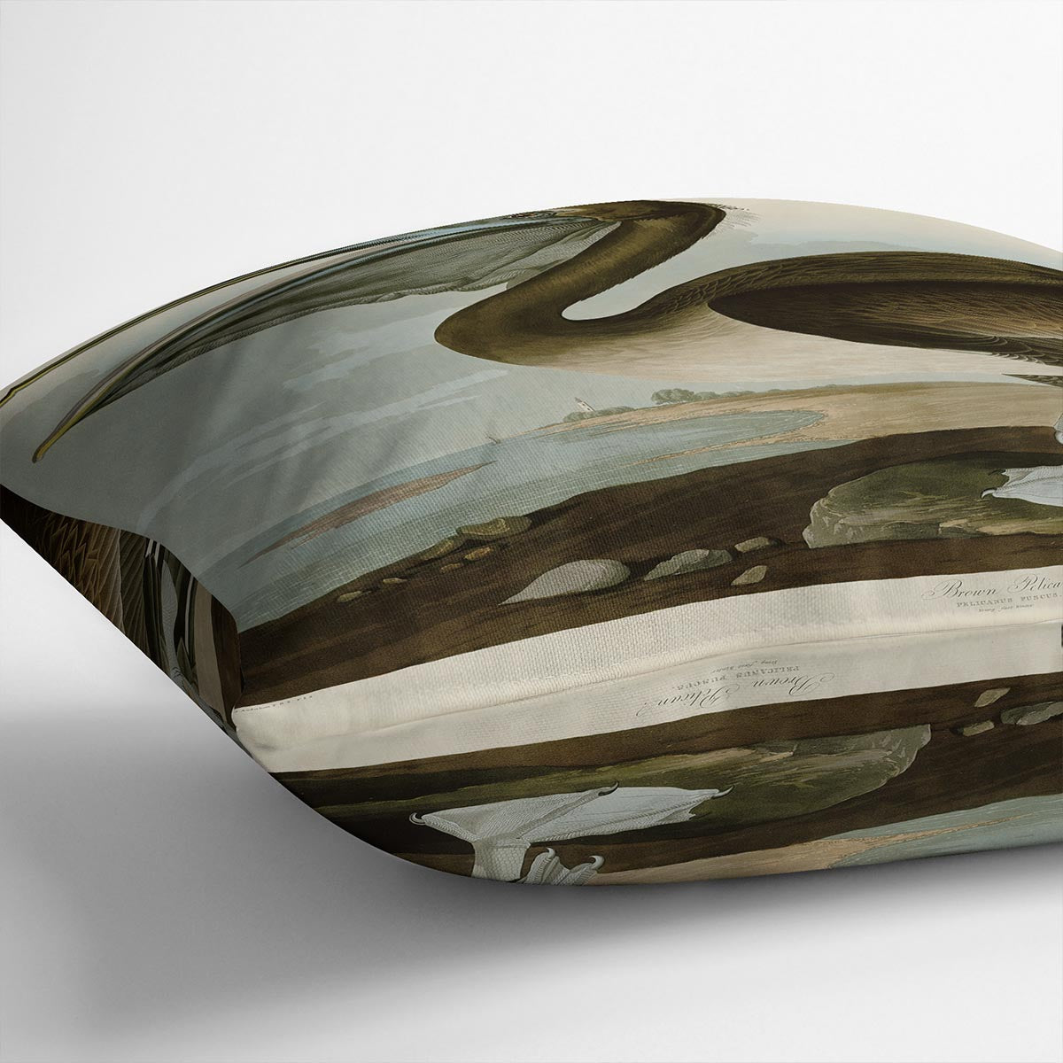 Brown Pelican by Audubon Cushion