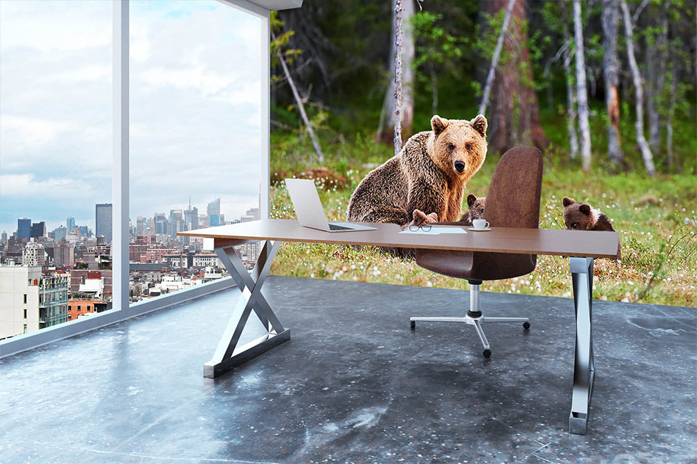 Brown mother bear protecting her cubs Wall Mural Wallpaper - Canvas Art Rocks - 3