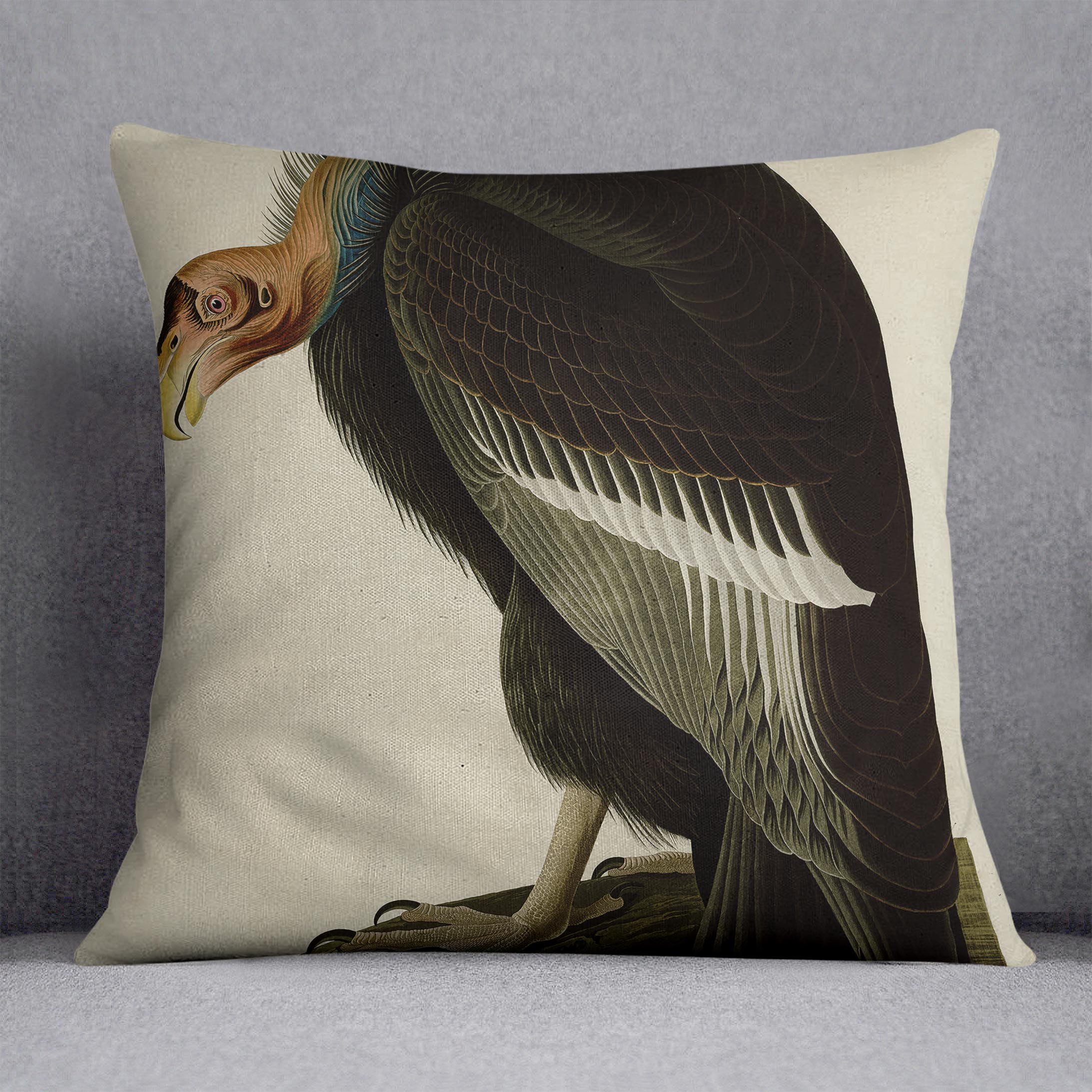 Californian Vulture by Audubon Cushion