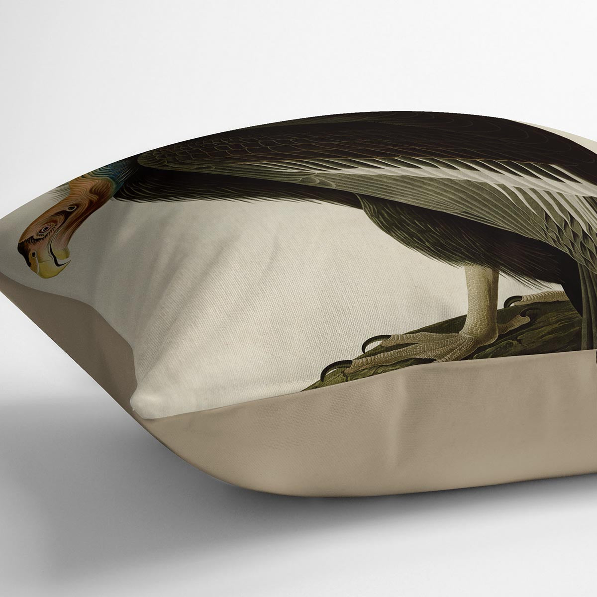 Californian Vulture by Audubon Cushion