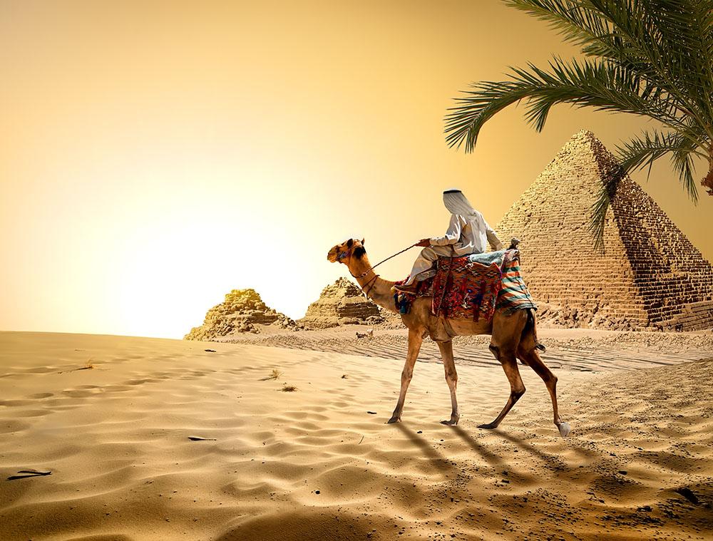 Camel near pyramids desert of Egypt Wall Mural Wallpaper - Canvas Art Rocks - 1