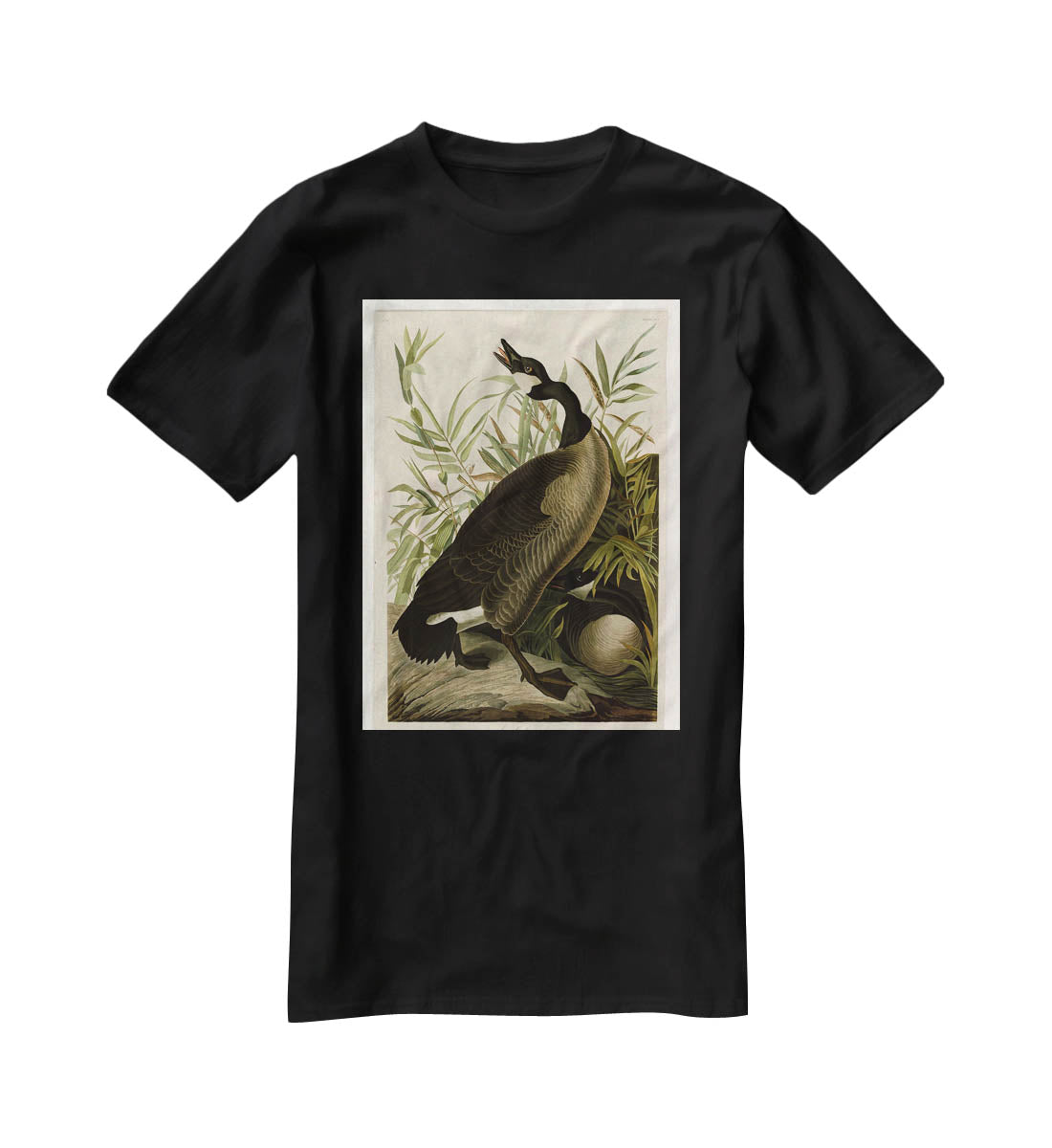Canada Goose by Audubon T-Shirt - Canvas Art Rocks - 1