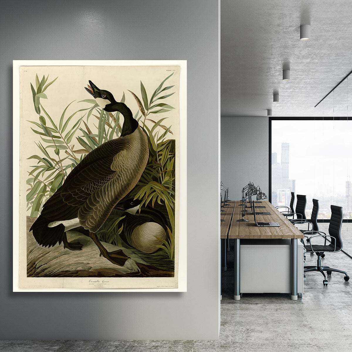 Canada Goose by Audubon Canvas Print or Poster - Canvas Art Rocks - 3