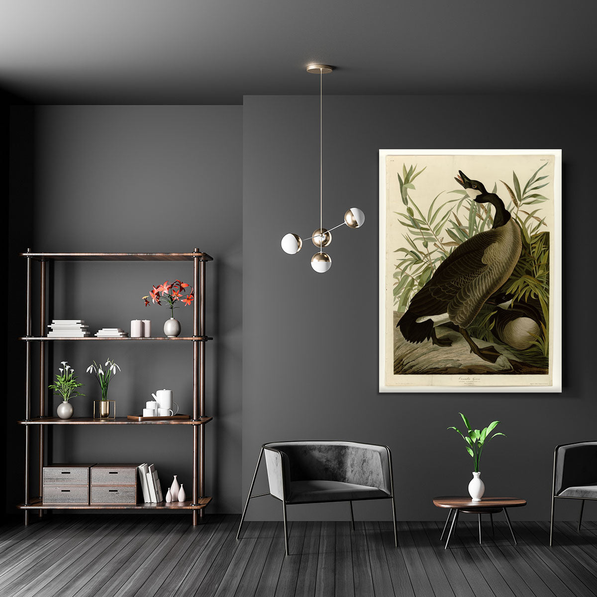 Canada Goose by Audubon Canvas Print or Poster - Canvas Art Rocks - 5
