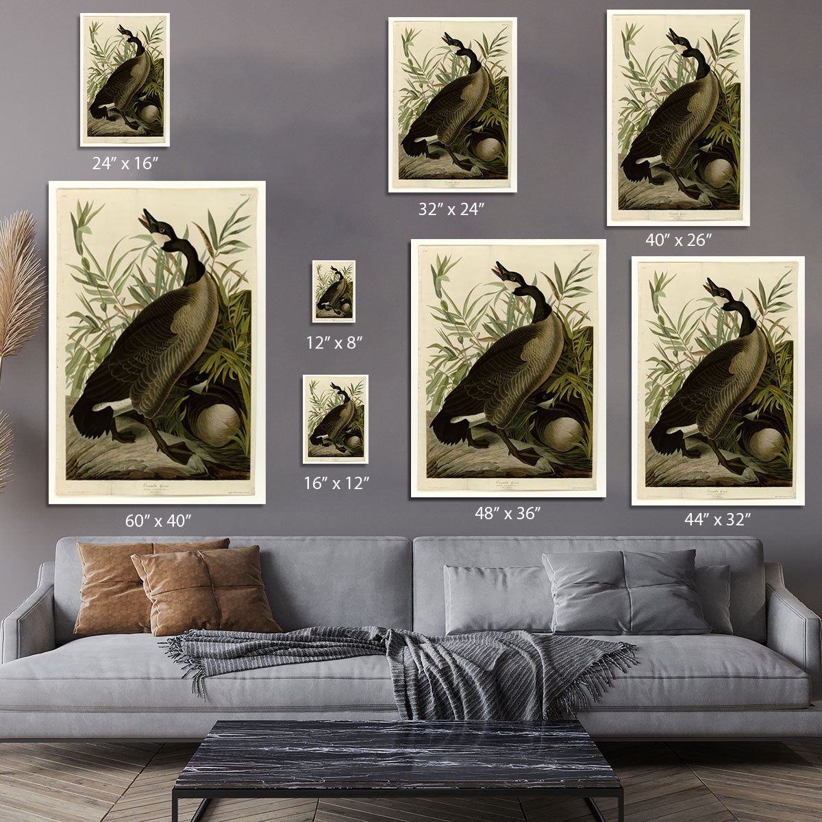 Canada Goose by Audubon Canvas Print or Poster - Canvas Art Rocks - 7