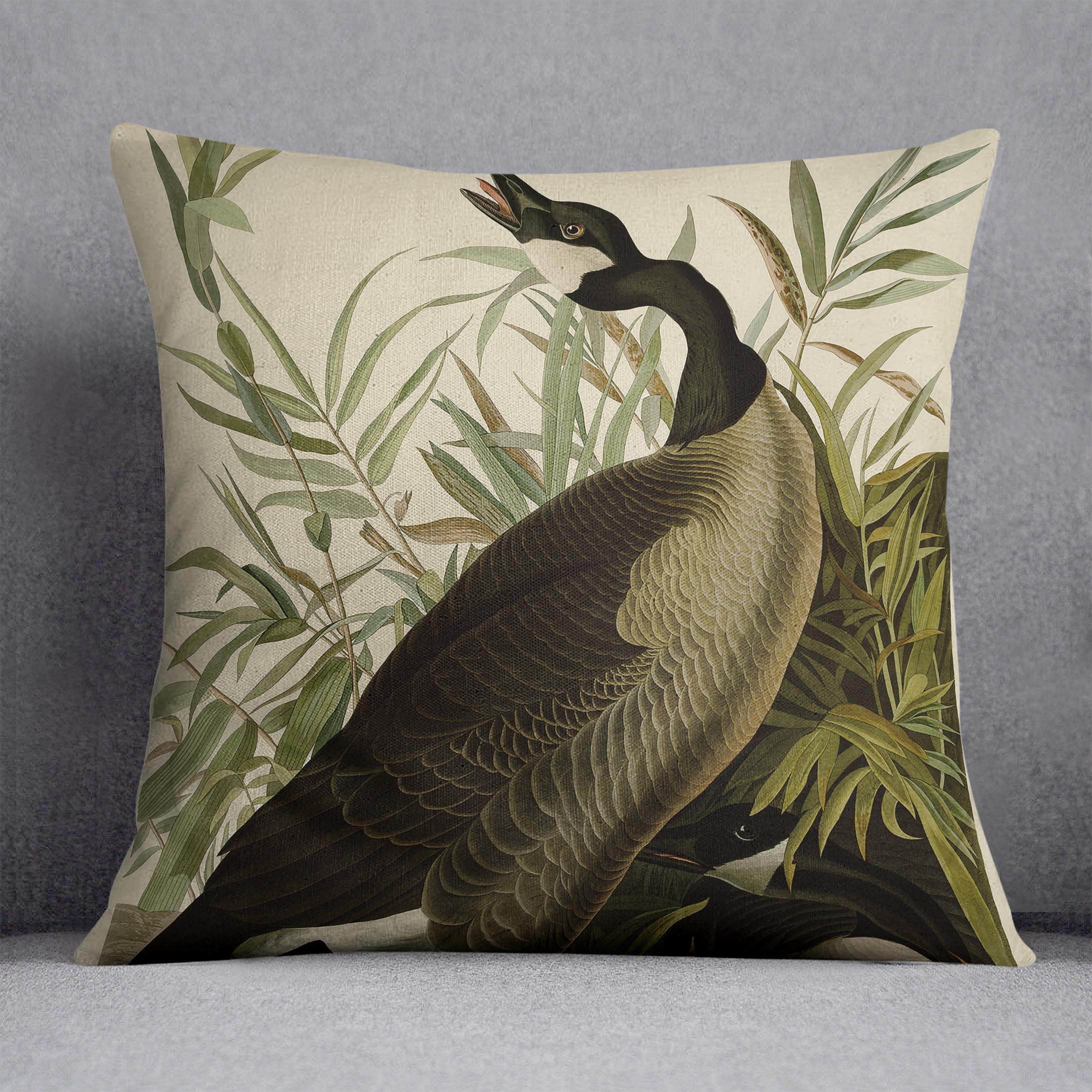 Canada Goose by Audubon Cushion