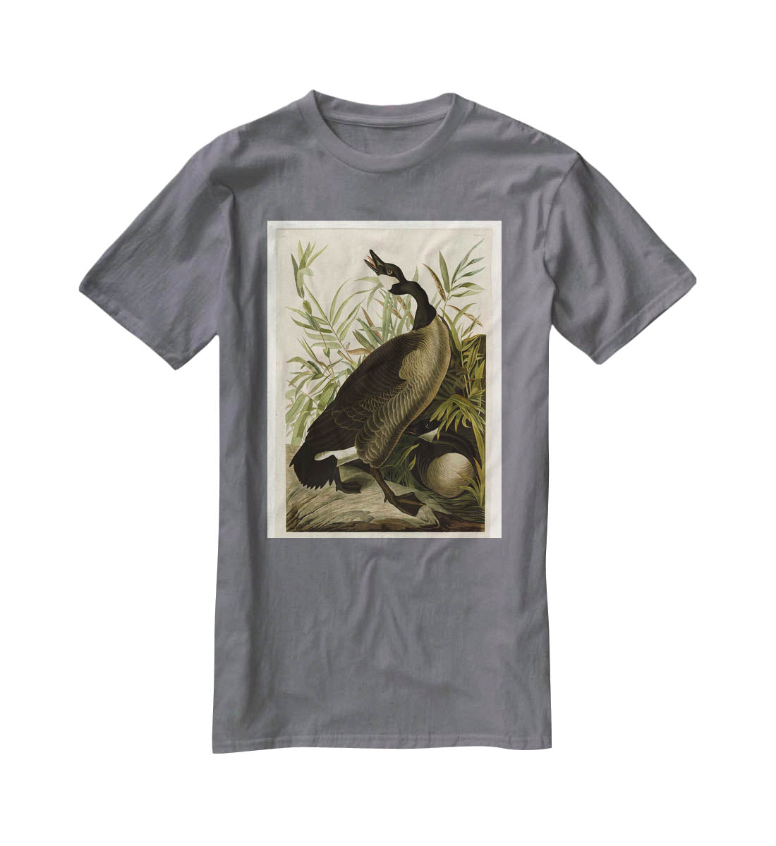 Canada Goose by Audubon T-Shirt - Canvas Art Rocks - 3