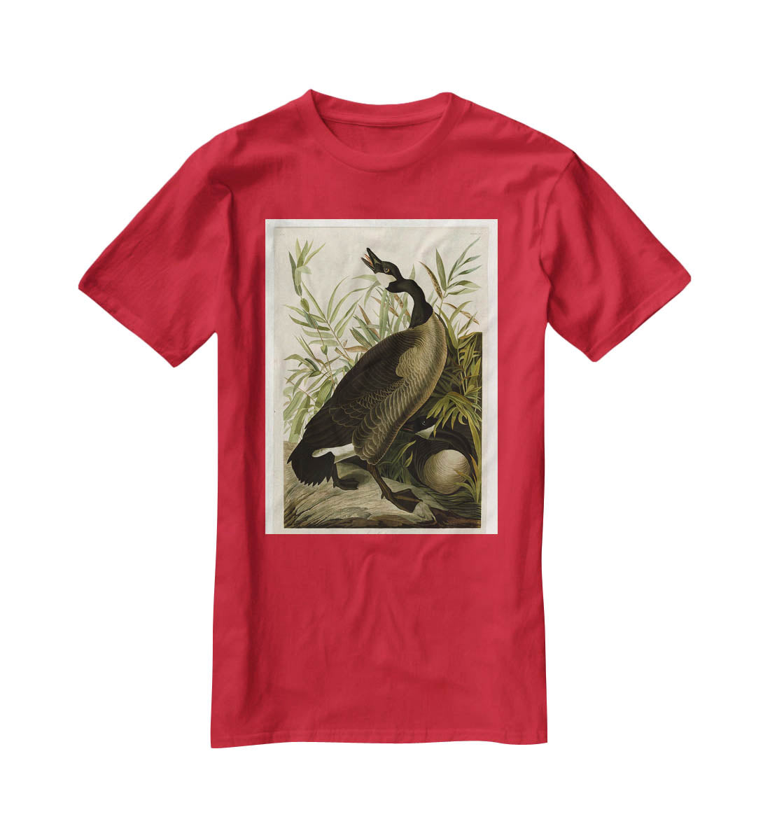 Canada Goose by Audubon T-Shirt - Canvas Art Rocks - 4