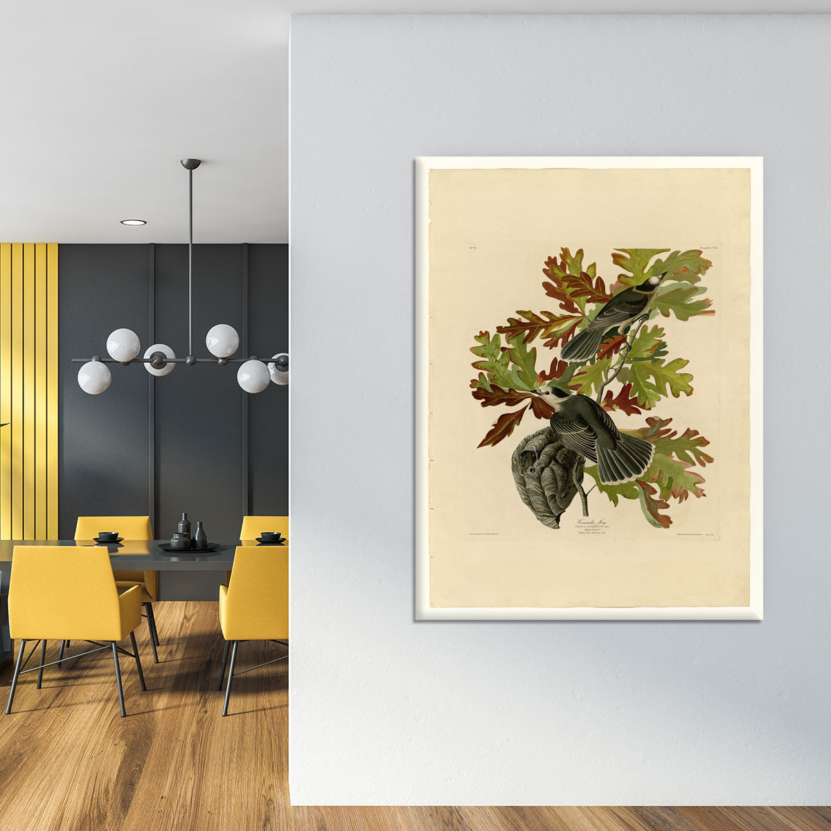 Canada Jay by Audubon Canvas Print or Poster - Canvas Art Rocks - 4