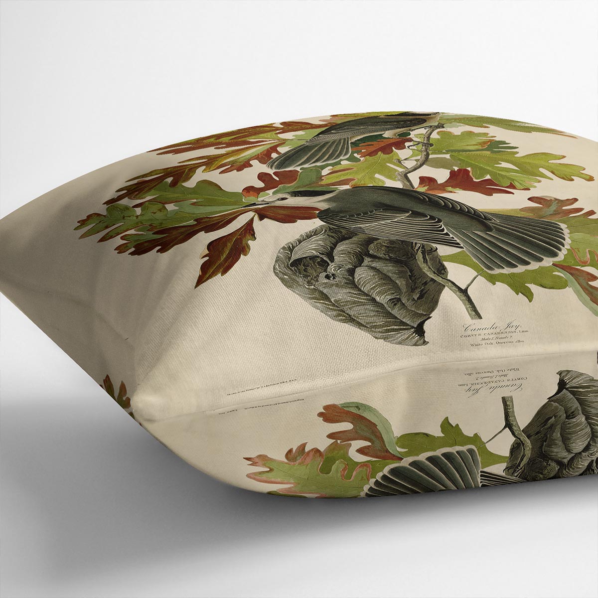 Canada Jay by Audubon Cushion