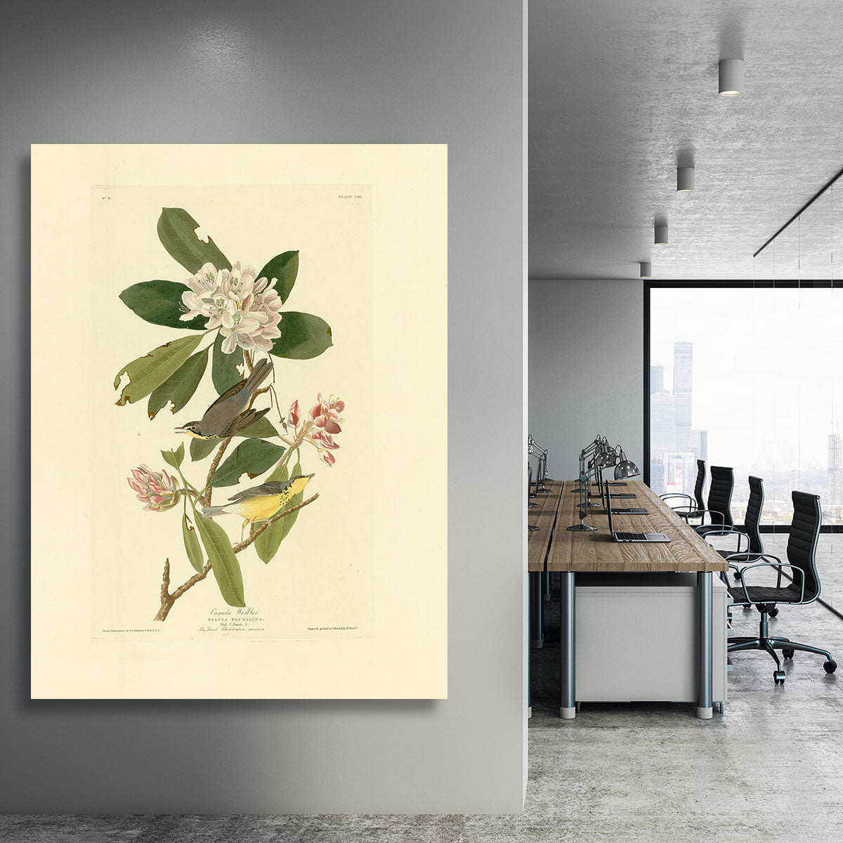 Canada Warbler by Audubon Canvas Print or Poster - Canvas Art Rocks - 3