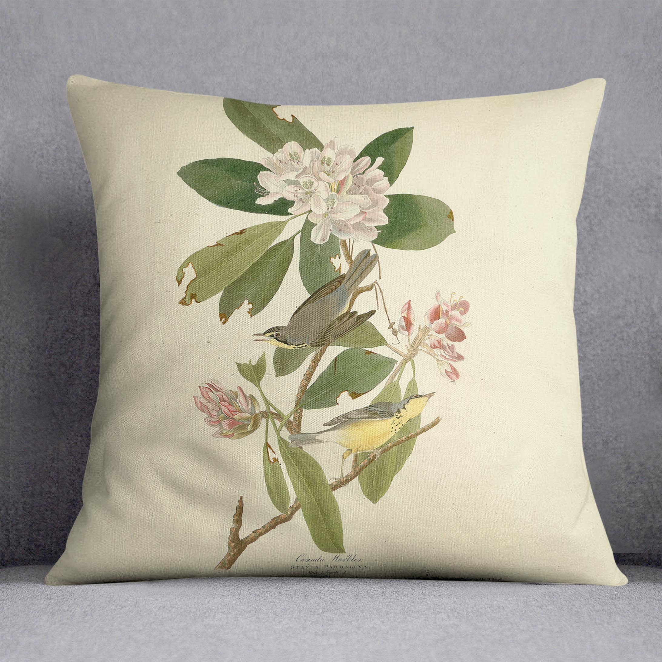 Canada Warbler by Audubon Cushion