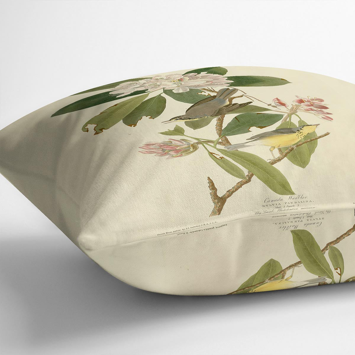 Canada Warbler by Audubon Cushion