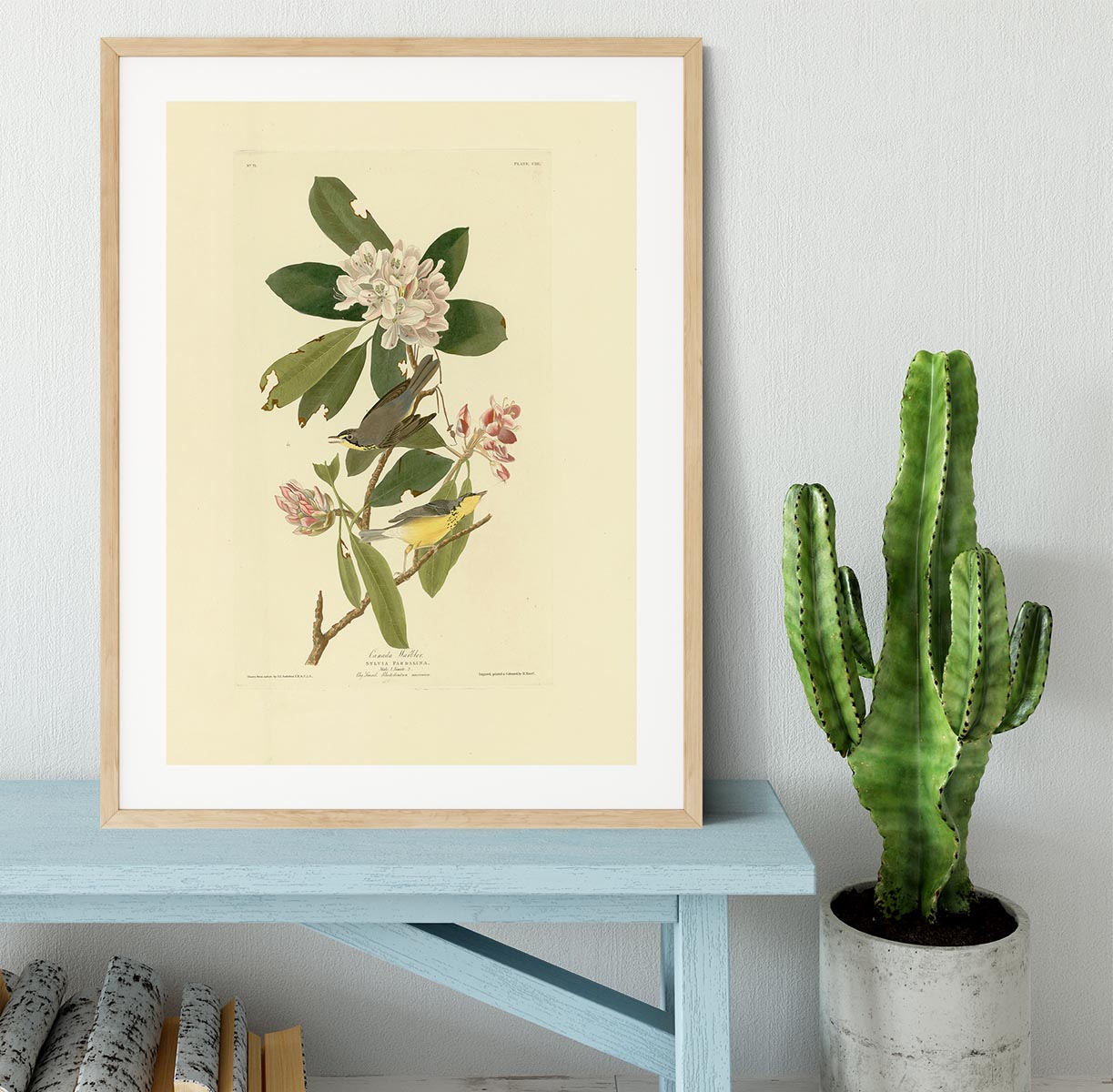 Canada Warbler by Audubon Framed Print - Canvas Art Rocks - 3