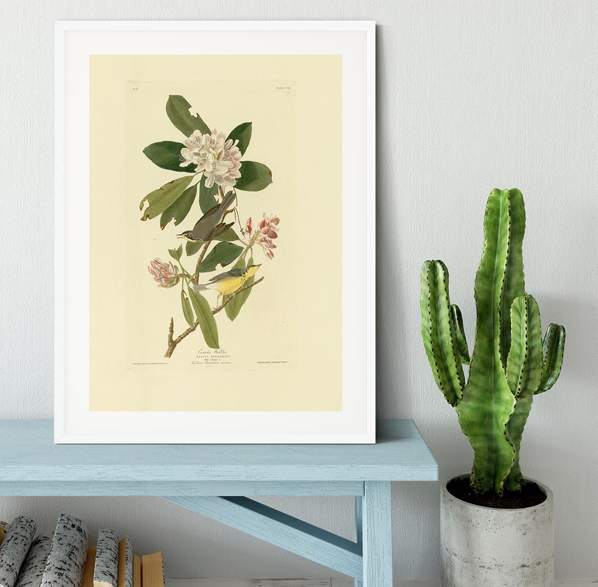 Canada Warbler by Audubon Framed Print - Canvas Art Rocks - 5