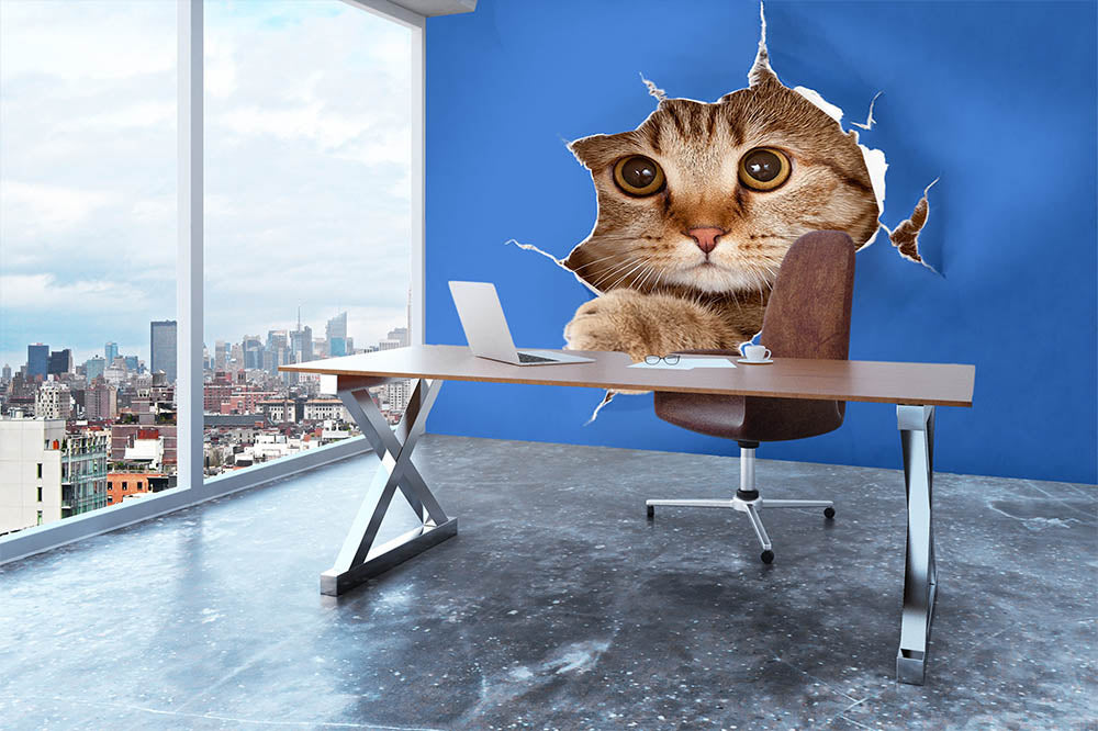 Cat in blue chromakey paper hole Wall Mural Wallpaper - Canvas Art Rocks - 3