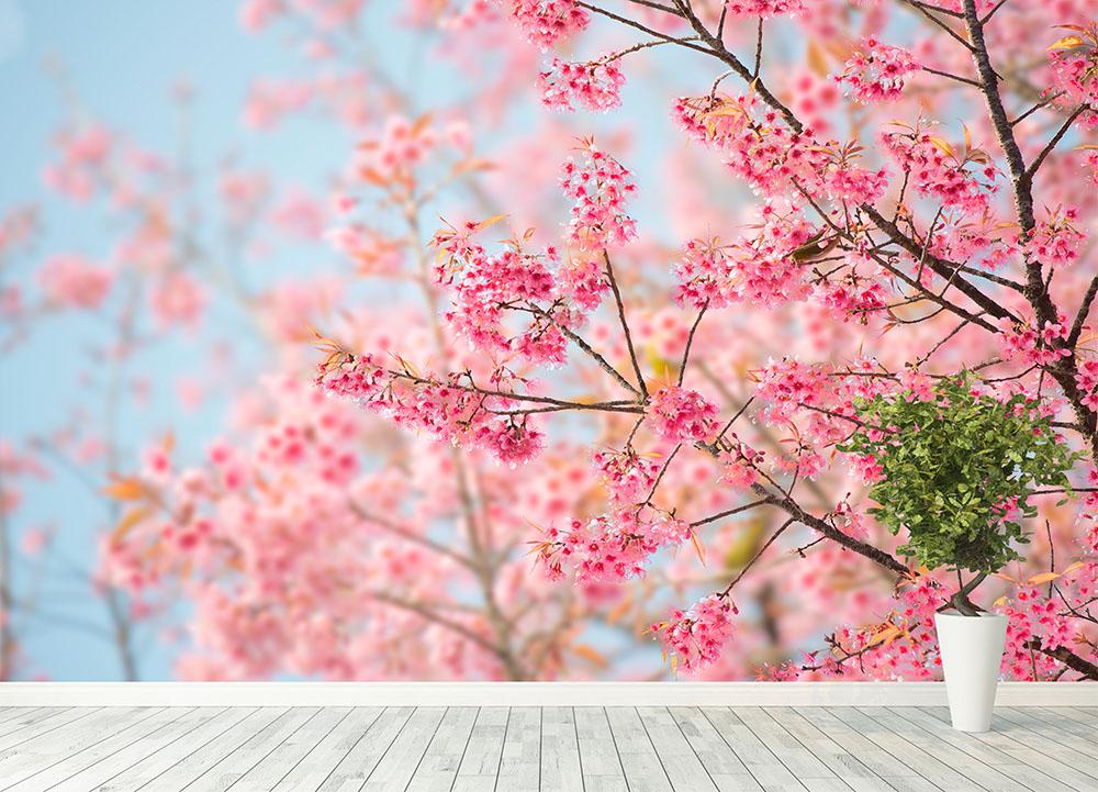 Cherry Blossom Wall Mural Wallpaper - Canvas Art Rocks - 4