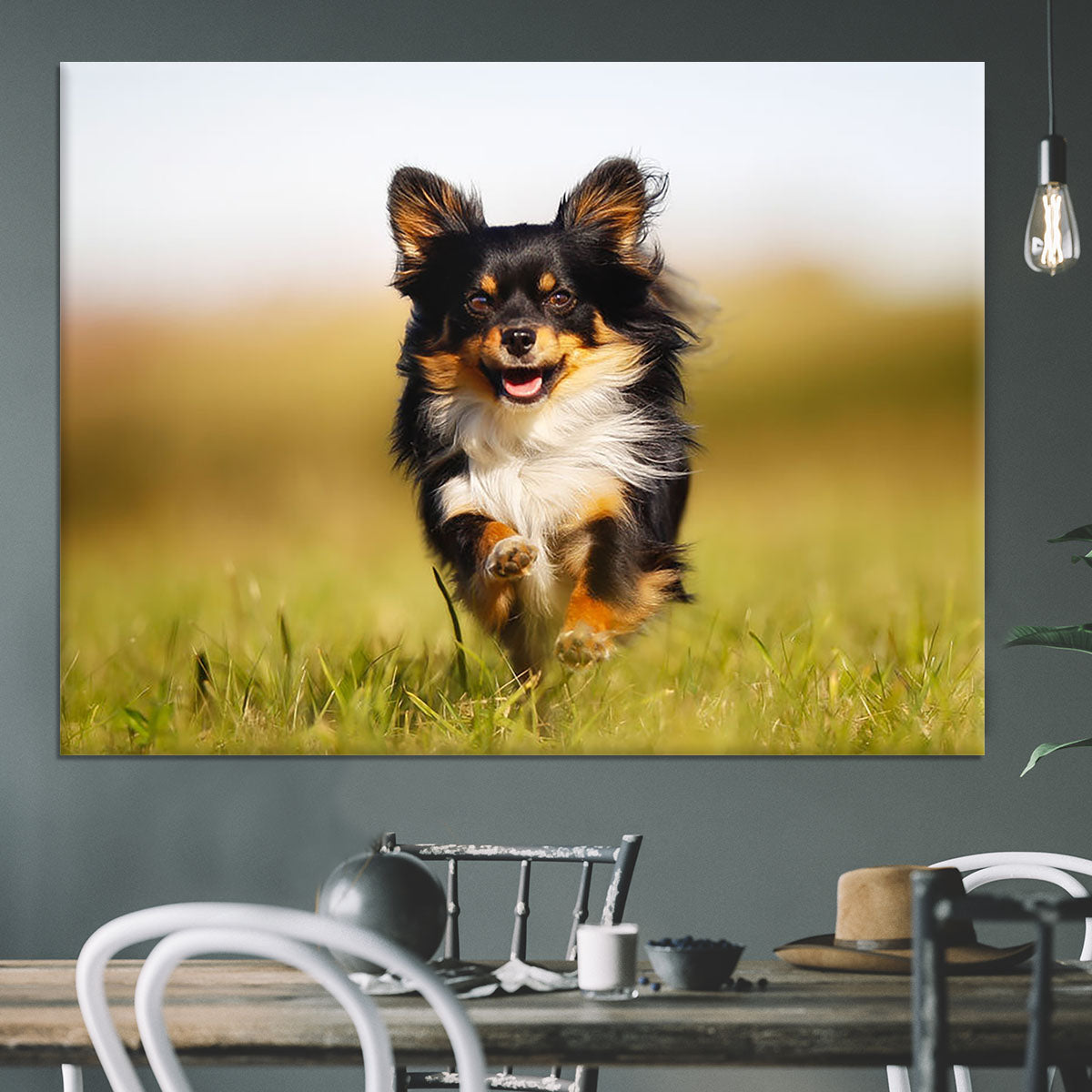 Chihuahua dog running towards the camera in a grass field Canvas Print or Poster - Canvas Art Rocks - 3