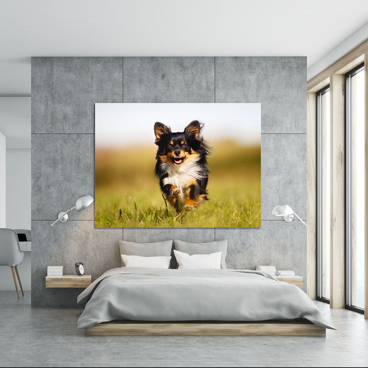Chihuahua dog running towards the camera in a grass field Canvas Print or Poster - Canvas Art Rocks - 5