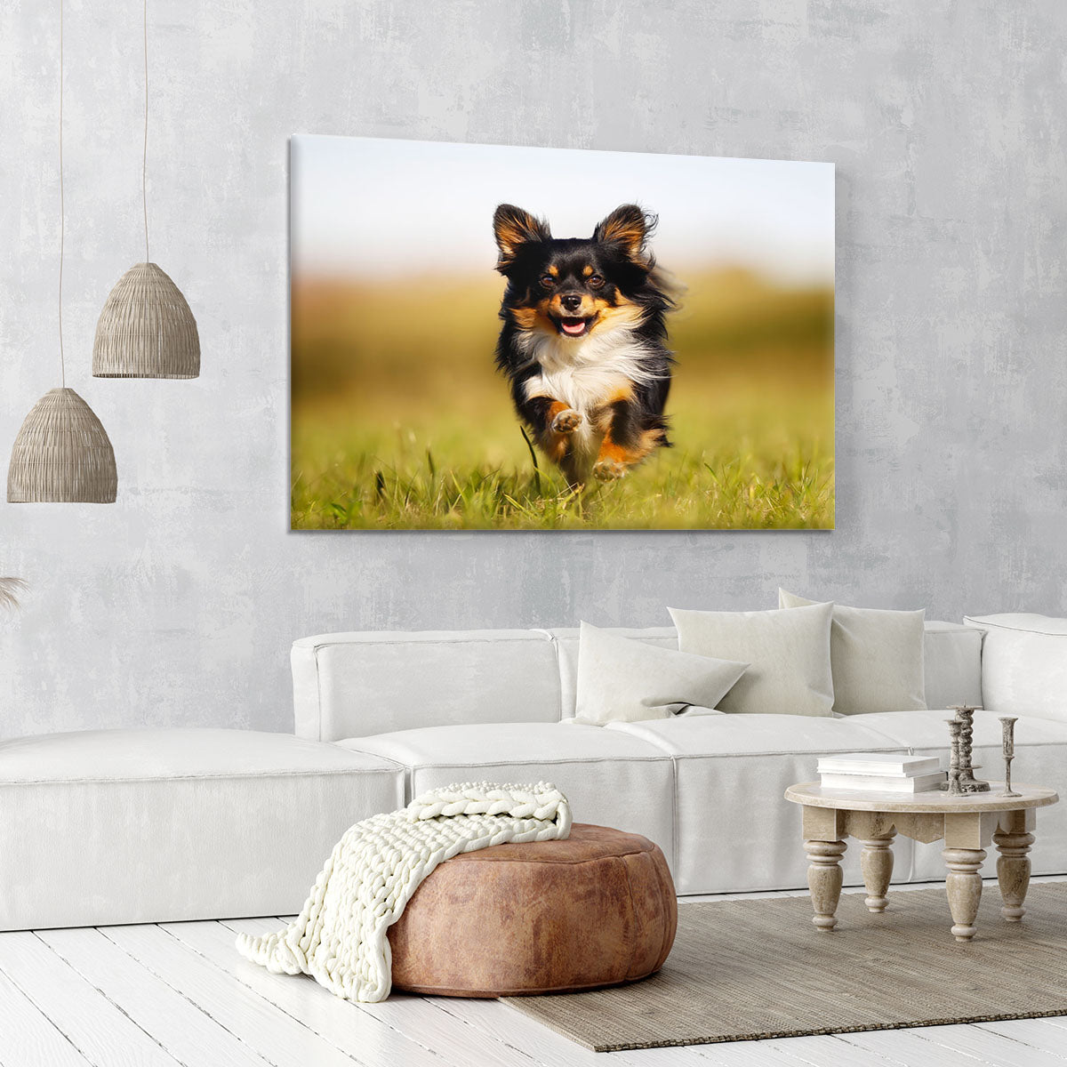 Chihuahua dog running towards the camera in a grass field Canvas Print or Poster - Canvas Art Rocks - 6