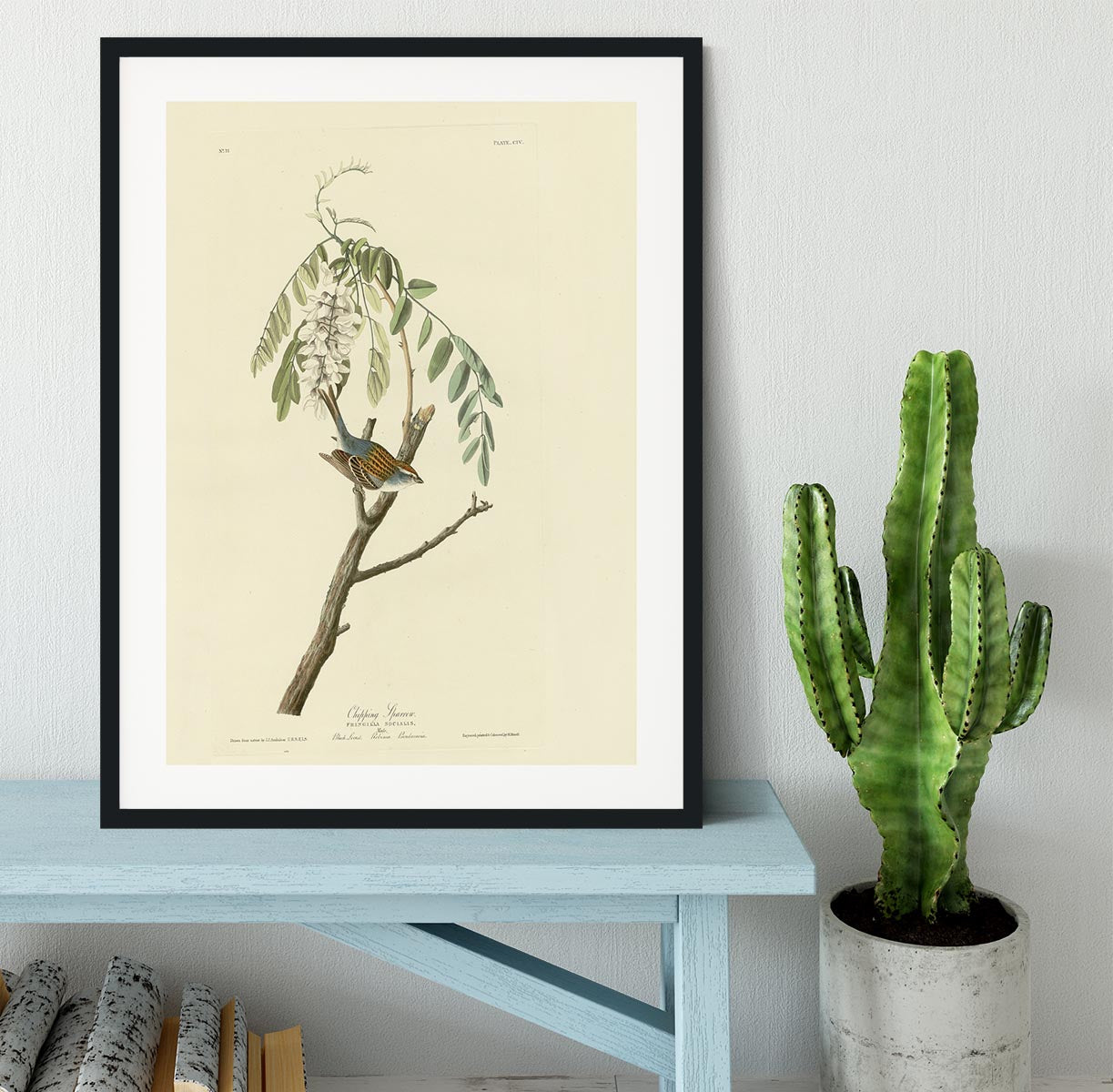 Chipping Sparrow by Audubon Framed Print - Canvas Art Rocks - 1