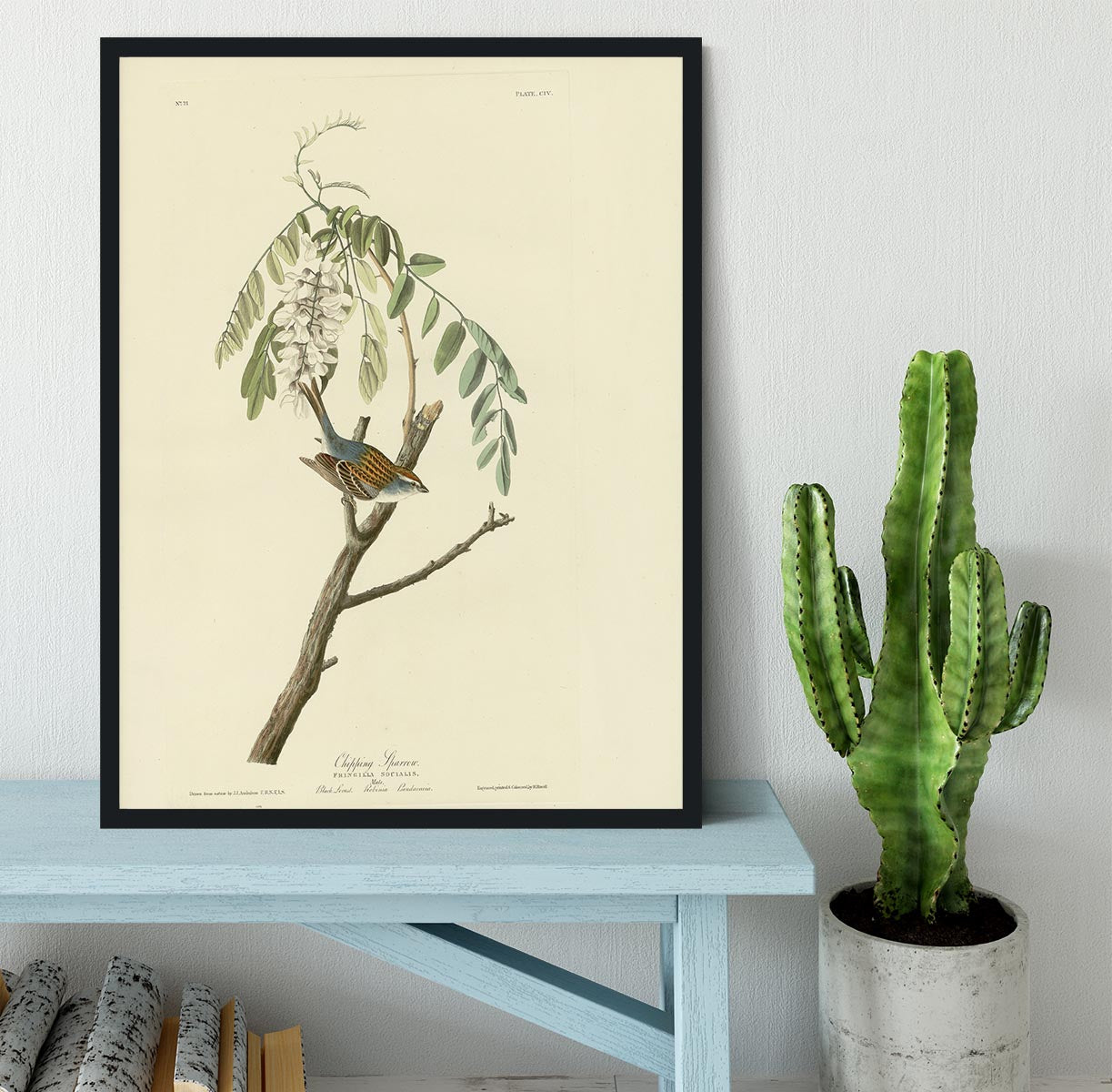 Chipping Sparrow by Audubon Framed Print - Canvas Art Rocks - 2