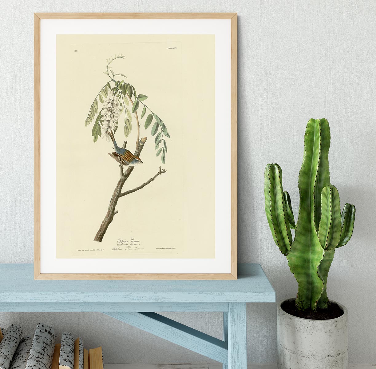 Chipping Sparrow by Audubon Framed Print - Canvas Art Rocks - 3