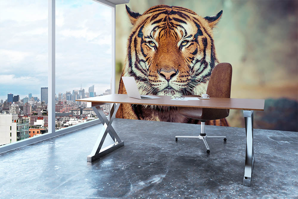 Close-up of a Tigers face Wall Mural Wallpaper - Canvas Art Rocks - 3