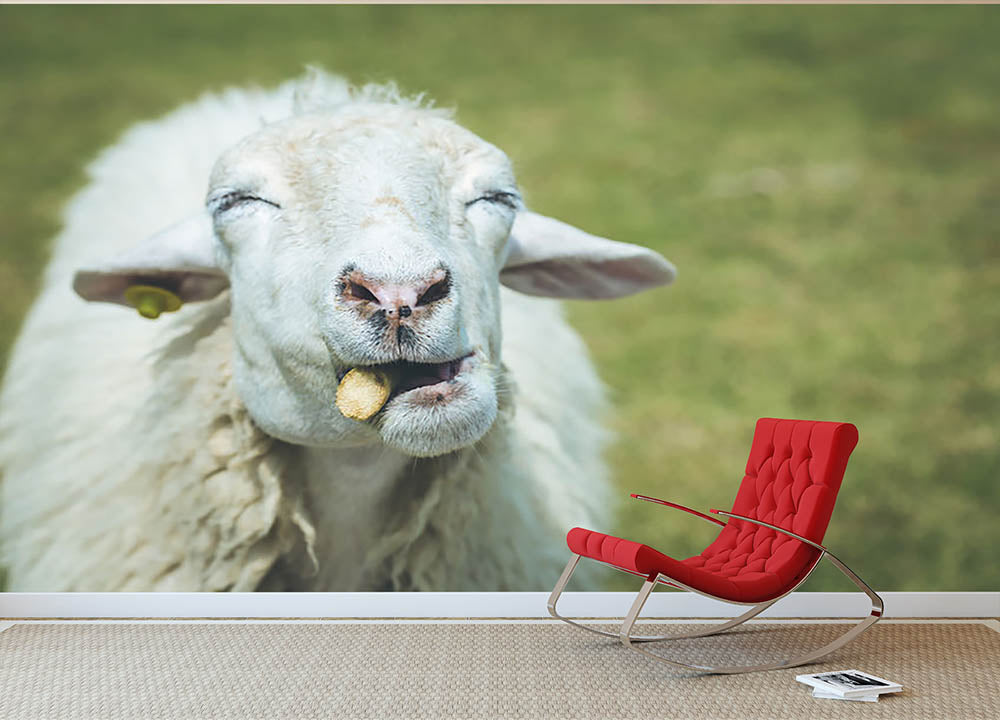 Close up head of sheep in farm Wall Mural Wallpaper - Canvas Art Rocks - 2