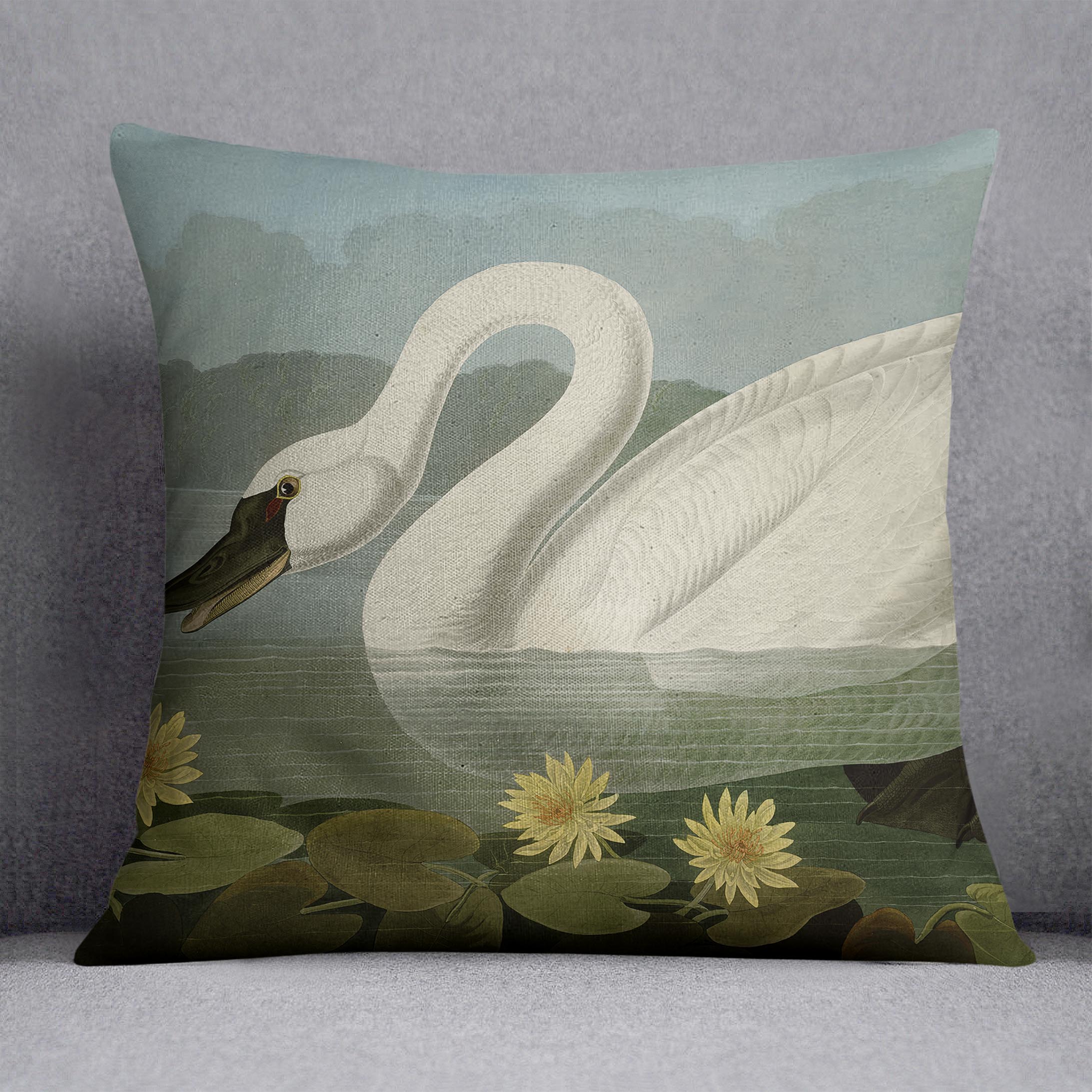 Common American Swan by Audubon Cushion