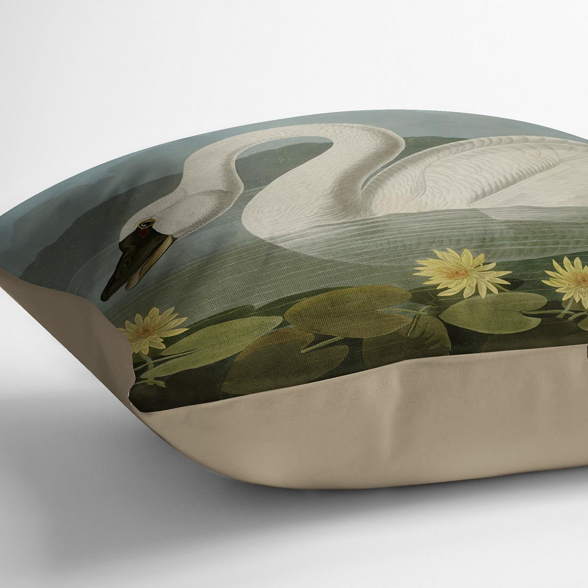 Common American Swan by Audubon Cushion