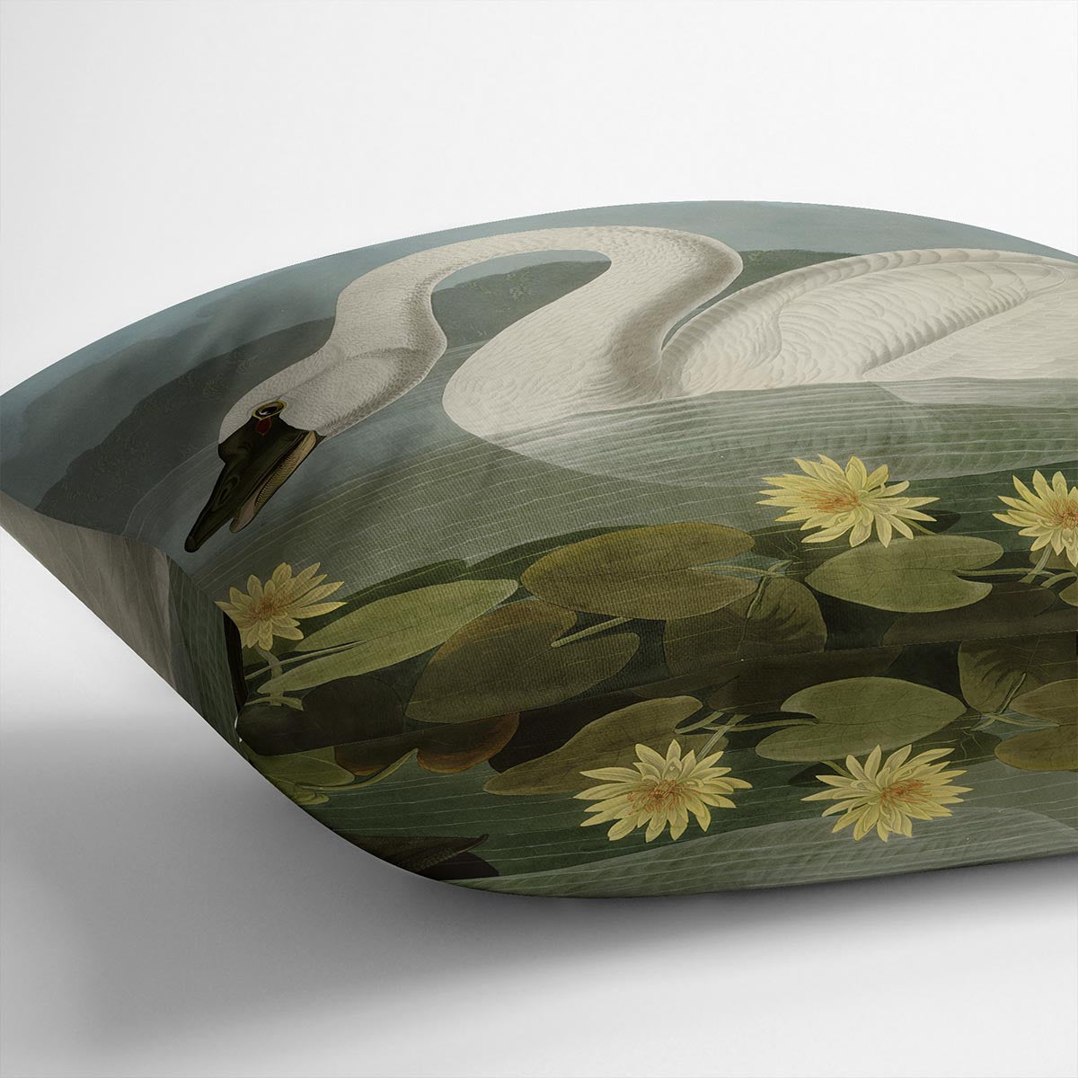 Common American Swan by Audubon Cushion